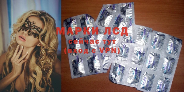 прущие грибы Абдулино