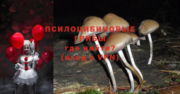 молекула духа Абинск