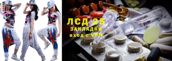 прущие грибы Абдулино
