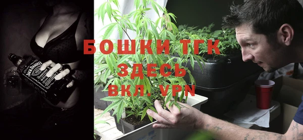 молекула духа Абинск