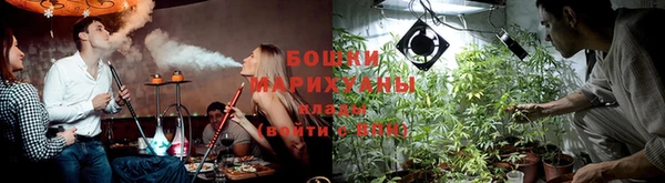 прущие грибы Абдулино