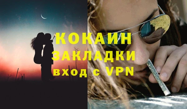 прущие грибы Абдулино