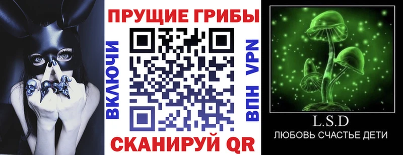 Галлюциногенные грибы GOLDEN TEACHER  Норильск 